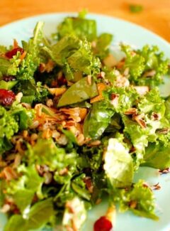 Kale and wild rice salad with pomegranate molasses dressing. Hardy and healthy salad with a pomegranate molasses dressing. Mighty good tasting recipe. | joeshealthymeals.com