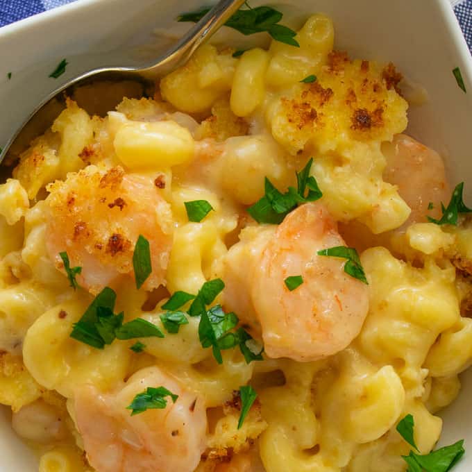Delicious shrimp mac and cheese.