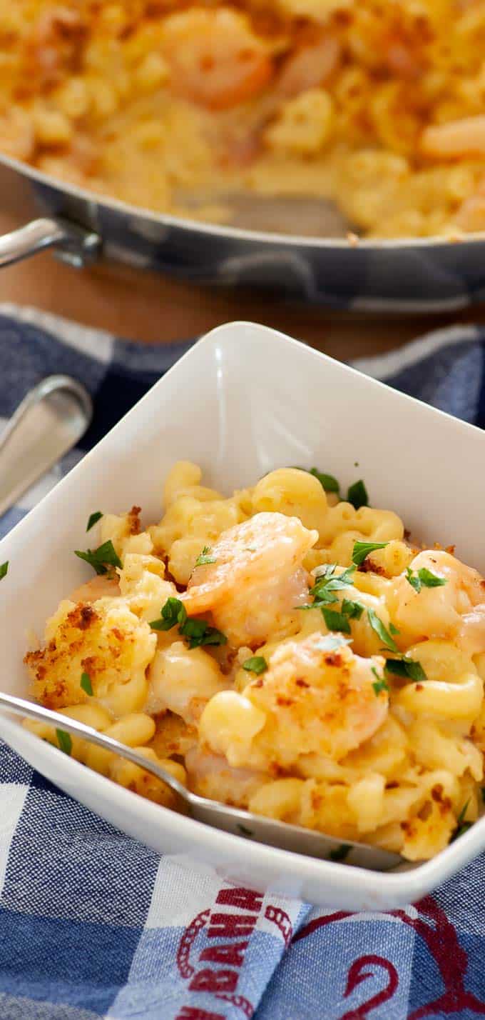 Yummy shrimp mac n cheese in a bowl ready to eat.