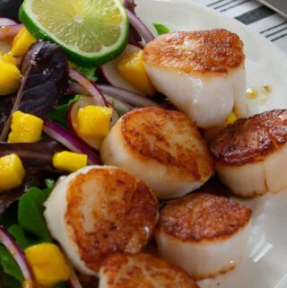 Seared scallop salad with spring greens, mango, and balsamic dressing.
