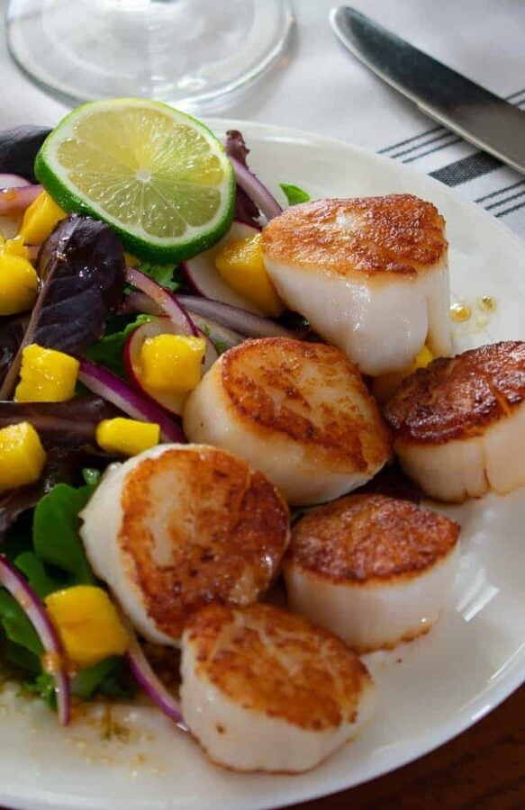 Seared scallop salad with spring greens, mango, and balsamic dressing.